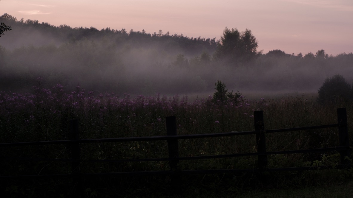 Утренний туман над полями Вира
