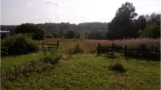 Летний день на берегу